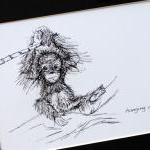 Original Art Illustrative Print, Orangutan..